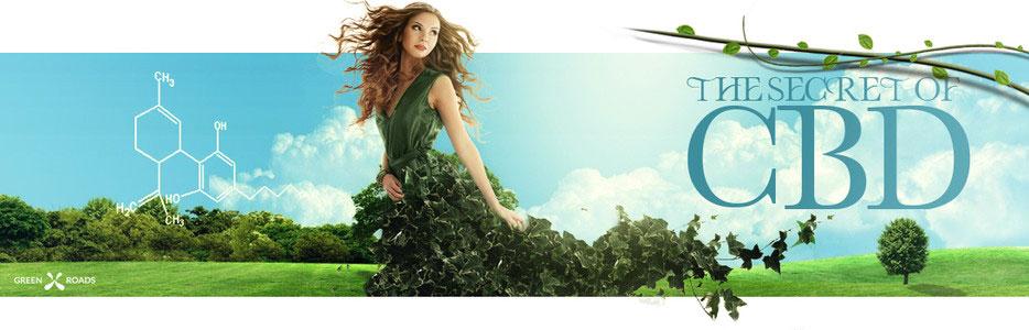 The Secret Ingredient