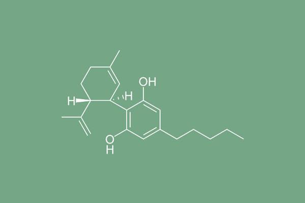You know about THC, learn more about CBD