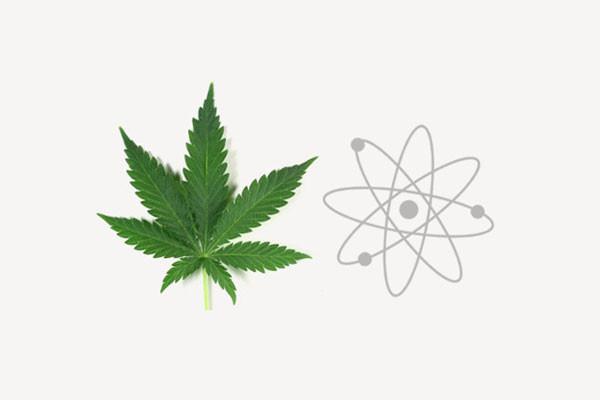 The Entourage Effect Explained