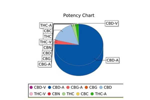What is Full Spectrum CBD?