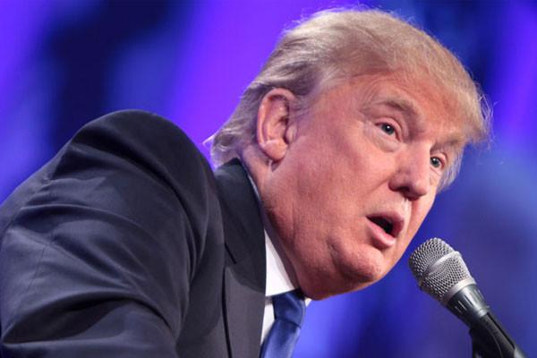 Trump Appointing Cannabis Advocate for FDA Commissioner?