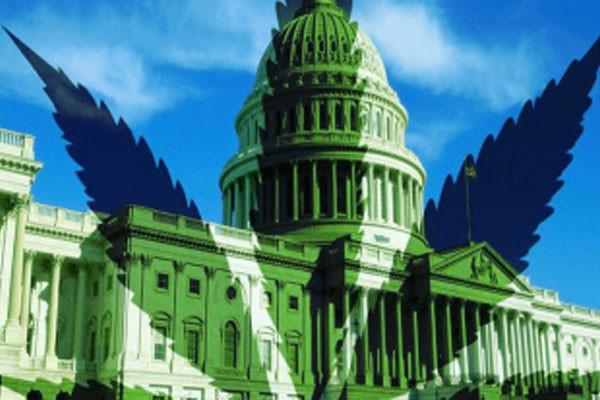 Congress looks to reschedule cannabis & CBD with bill