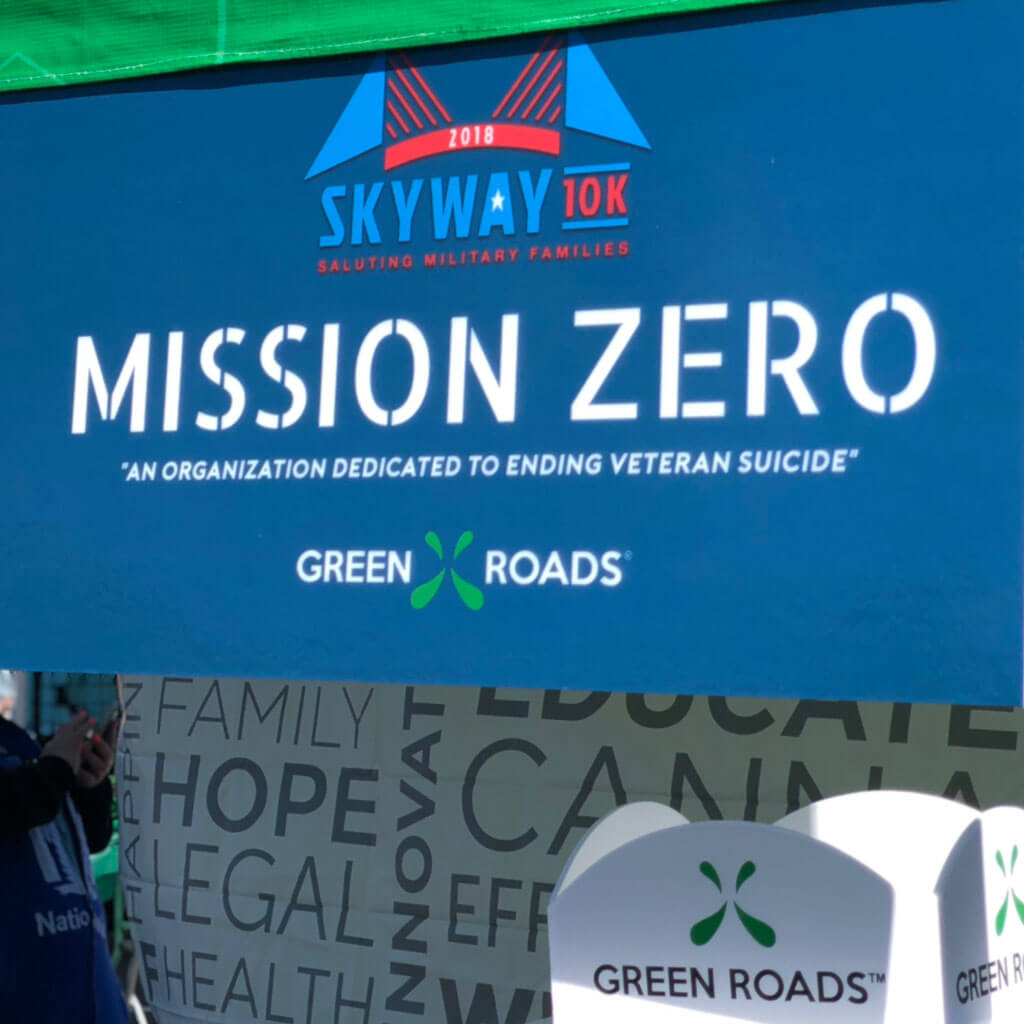 SkyWay Mission Zero