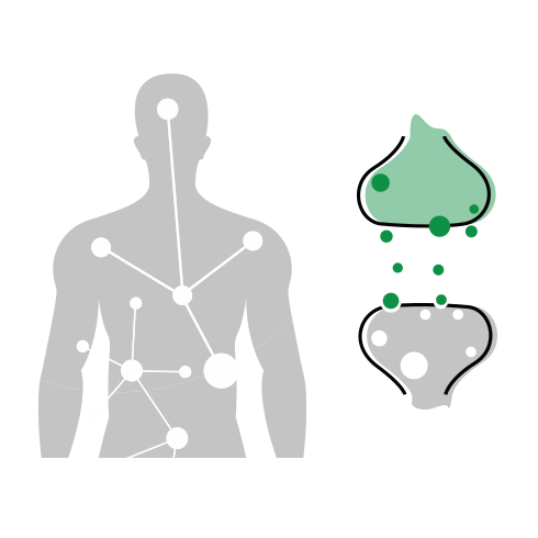 WHAT ARE THE BENEFITS OF CBD