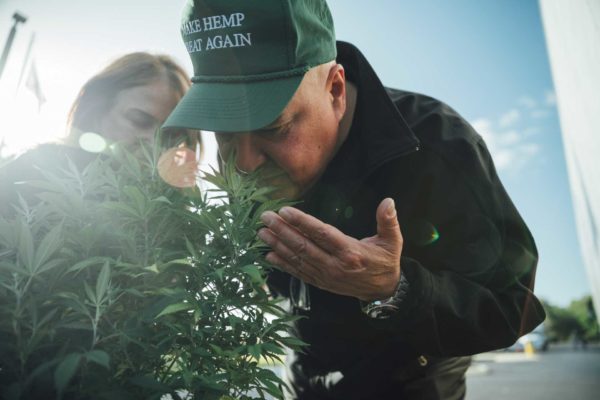 Sun Sentinel Features Green Roads CBD