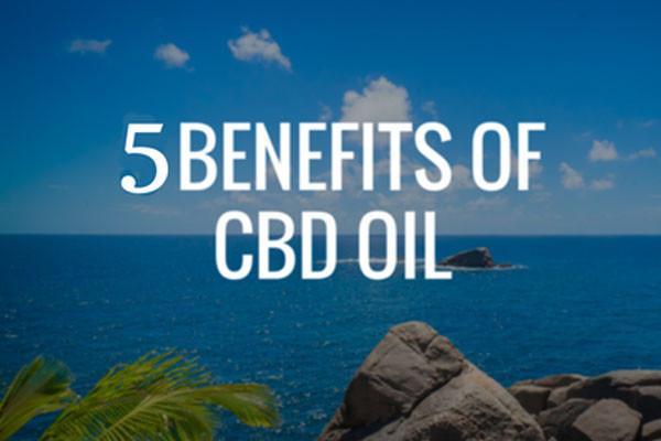 5 LITTLE-KNOWN USES FOR CBD